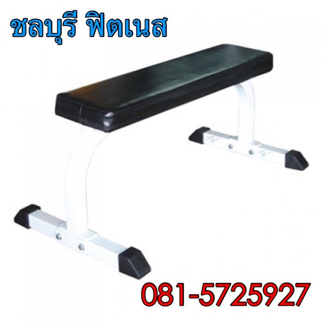 ม้าราบเล่นดัมเบล์ CH - ZA 1000