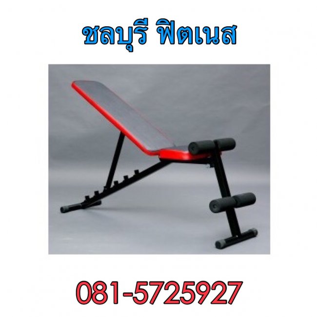 ม้าปรับระดับ CH - ZA 2000 FID