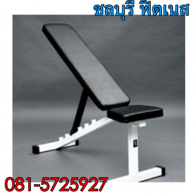 ม้าปรับระดับ CH - ZA 2000 B