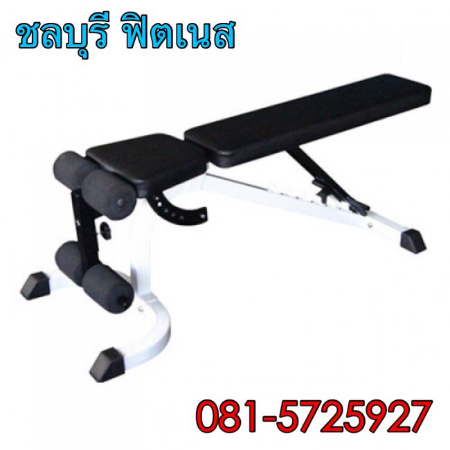 ม้าปรับระดับ CH - 2000 FID
