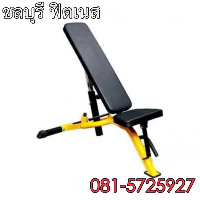 ม้าปรับระดับ CH - 2000 D