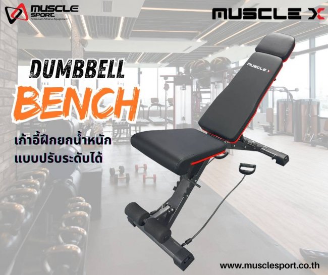 ม้าปรับระดับ MUSCLE